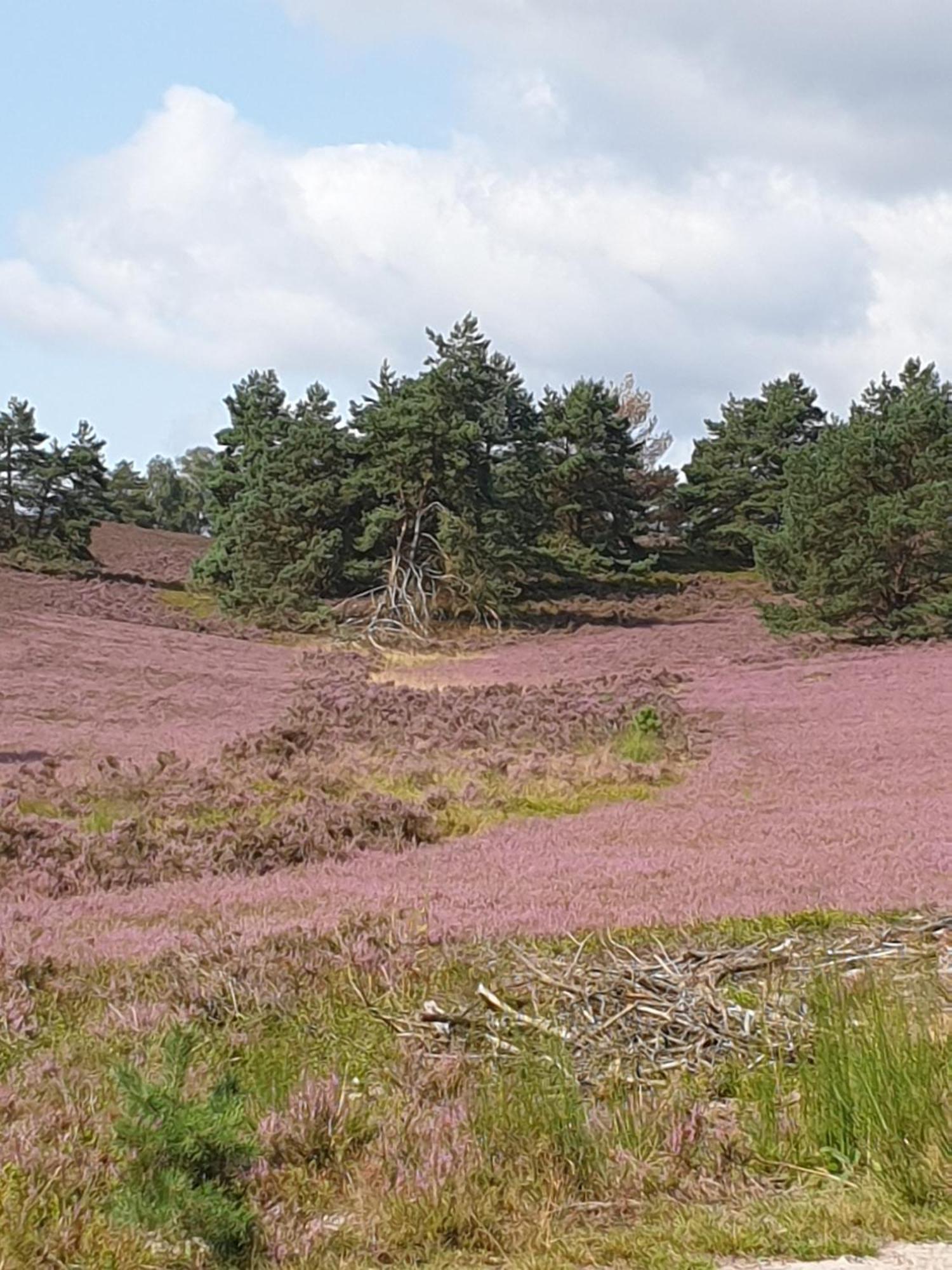 Likehome Suite Buchholz in der Nordheide Exteriér fotografie